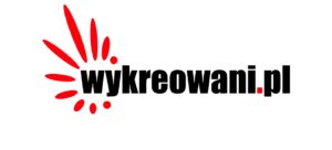 Wykreowani - agencja marketingu internetowego